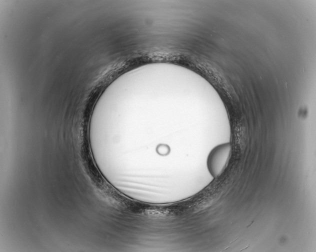 X0000098230690200805221711