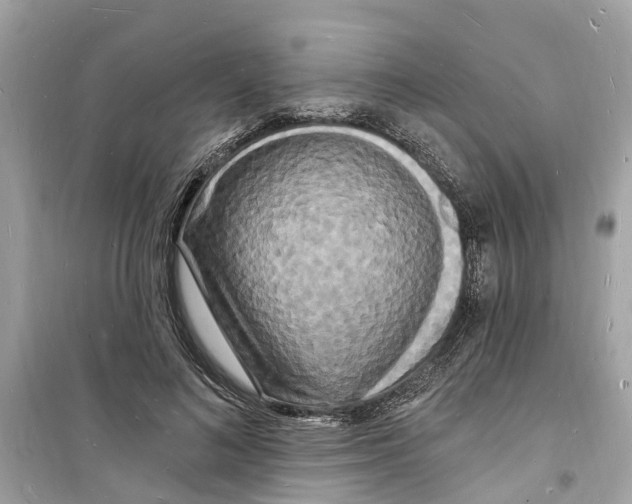 X0000098230692200805221711