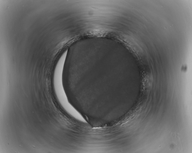 X0000098230693200805221711