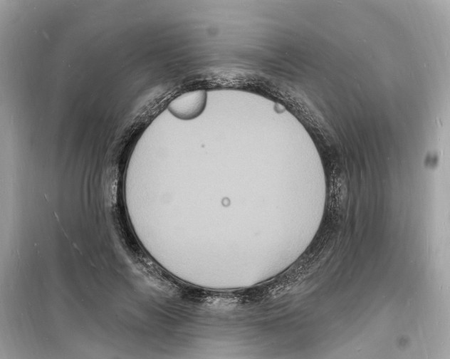 X0000098230694200805221711