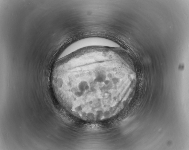 X0000098230695200805221711