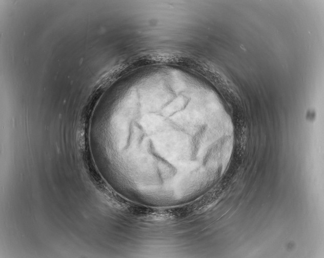 X0000098230696200805221711