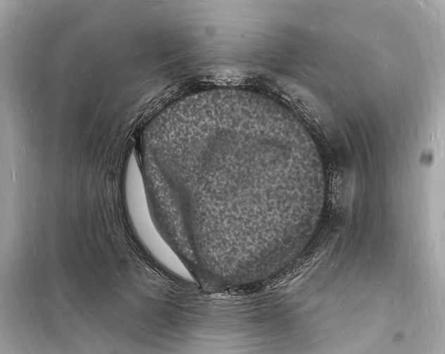 X0000098230697200805221711