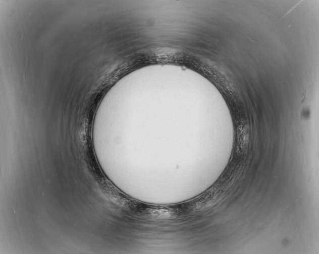 X0000098230698200805221711