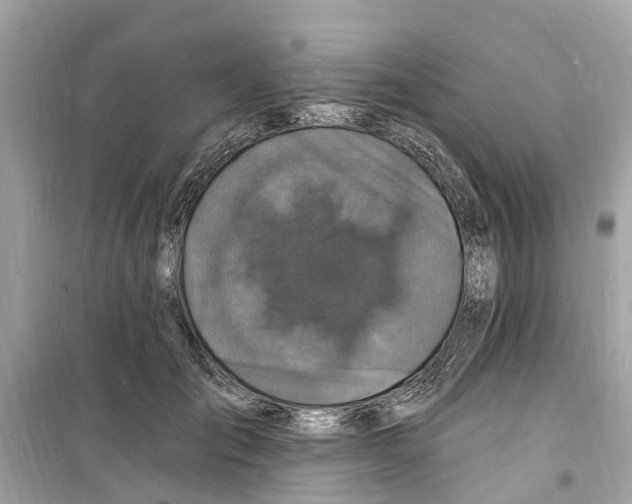 X0000098230701200805221711