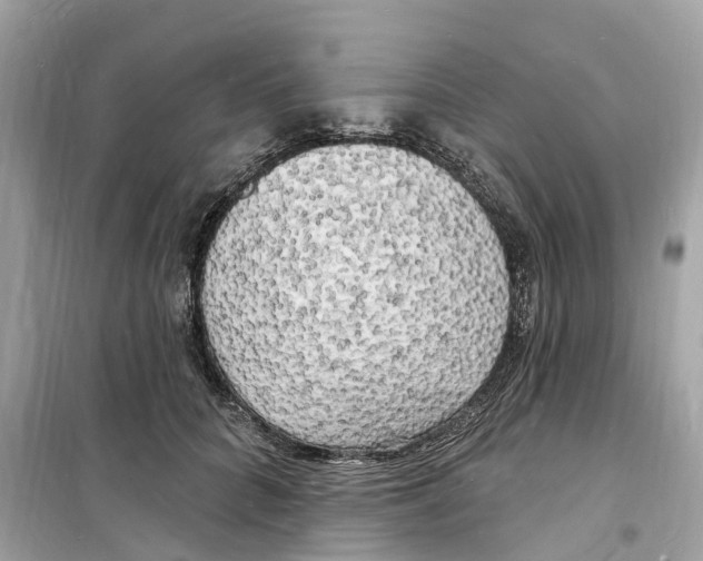 X0000098230704200805221711