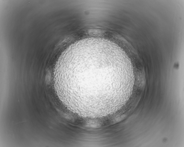 X0000098230705200805221711