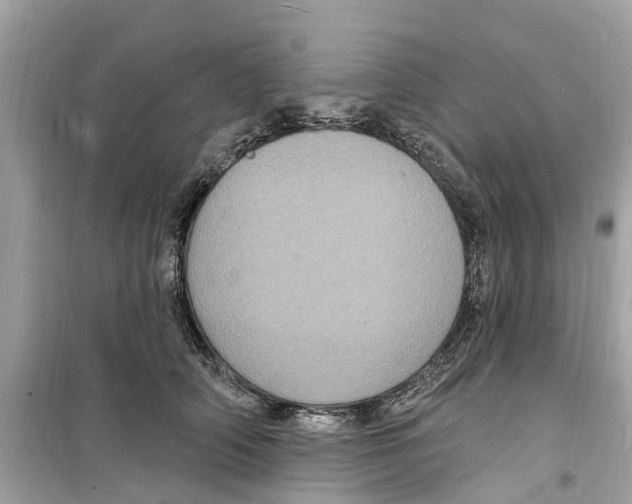 X0000098230706200805221711