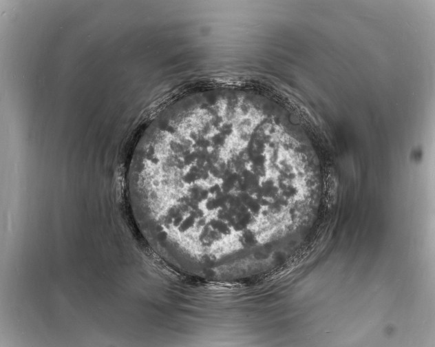 X0000098230707200805221711