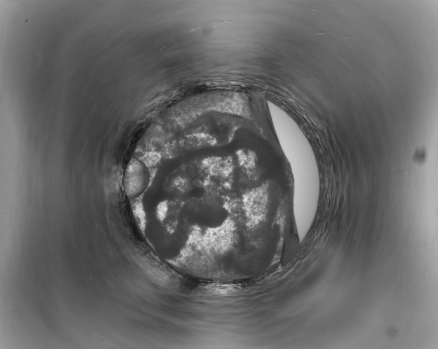 X0000098230711200805221711