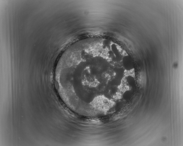 X0000098230715200805221711