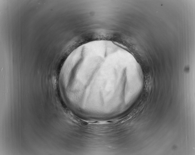 X0000098230716200805221711