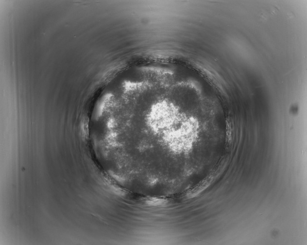 X0000098230718200805221711