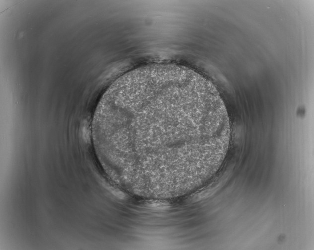 X0000098230719200805221711