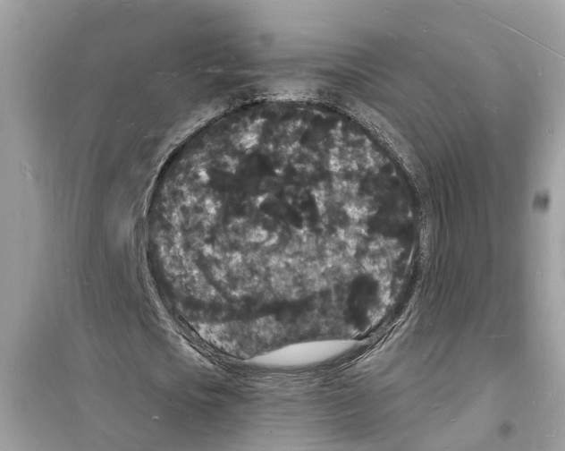 X0000098230721200805221710