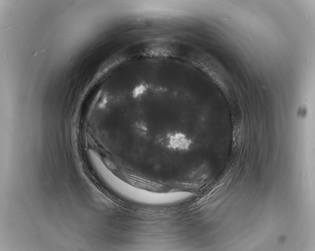 X0000098230722200805221710