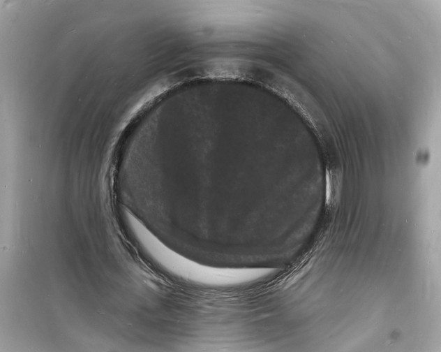 X0000098230723200805221710