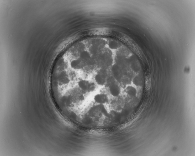 X0000098230725200805221710