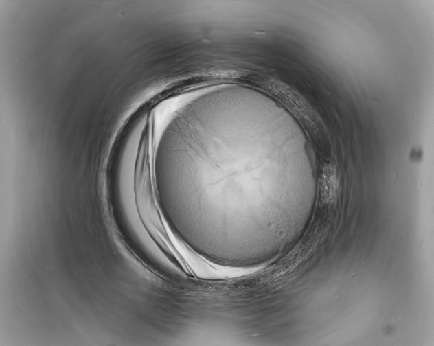 X0000098230726200805221710