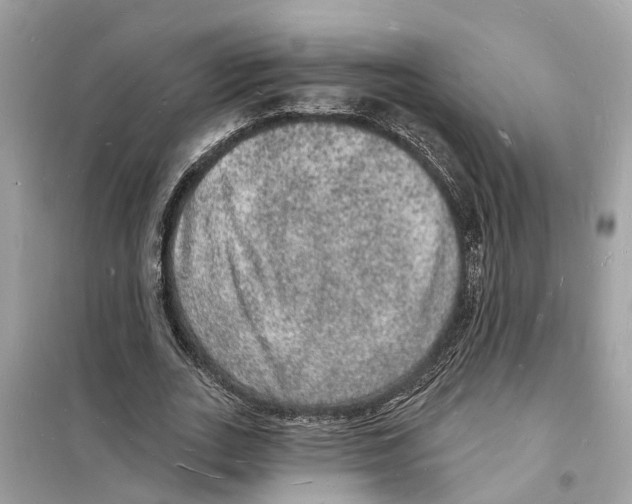 X0000098230727200805221710