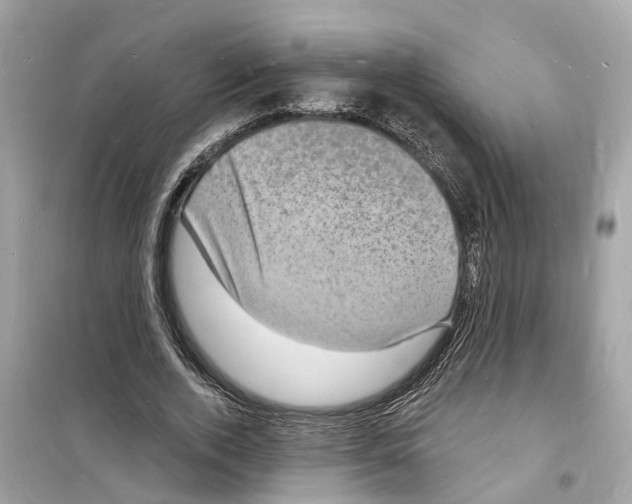 X0000098230728200805221710