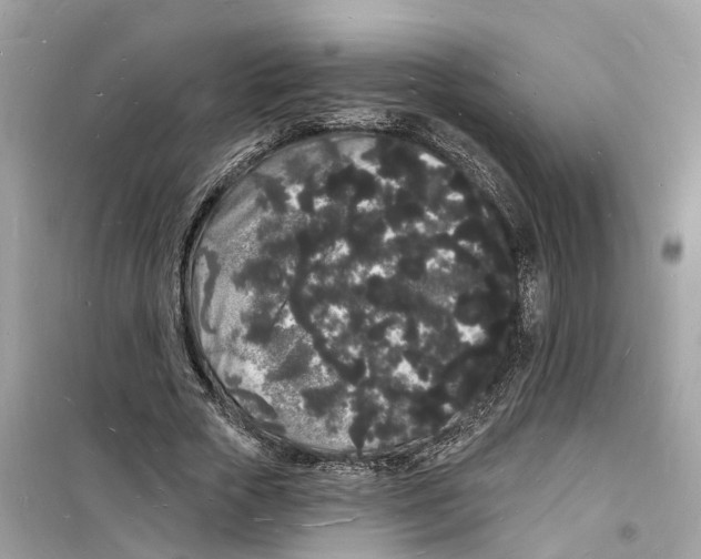 X0000098230729200805221710