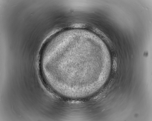 X0000098230730200805221710