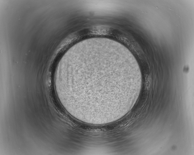 X0000098230731200805221710