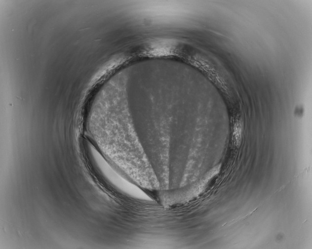 X0000098230732200805221710