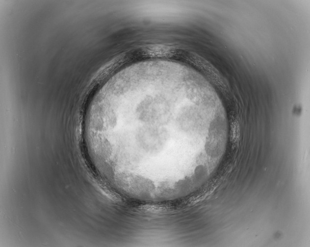 X0000098230733200805221710