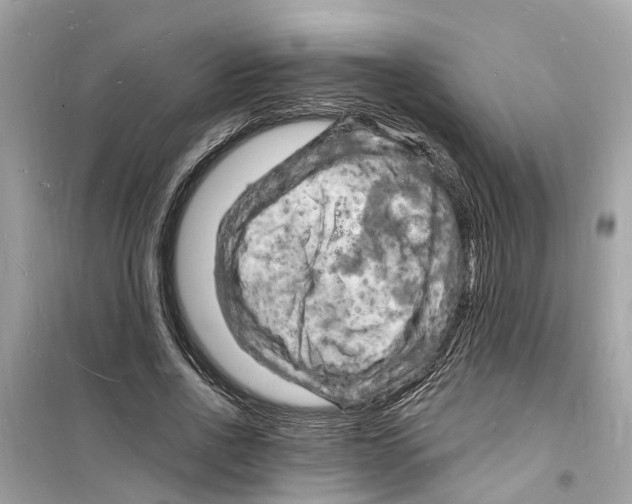 X0000098230734200805221710