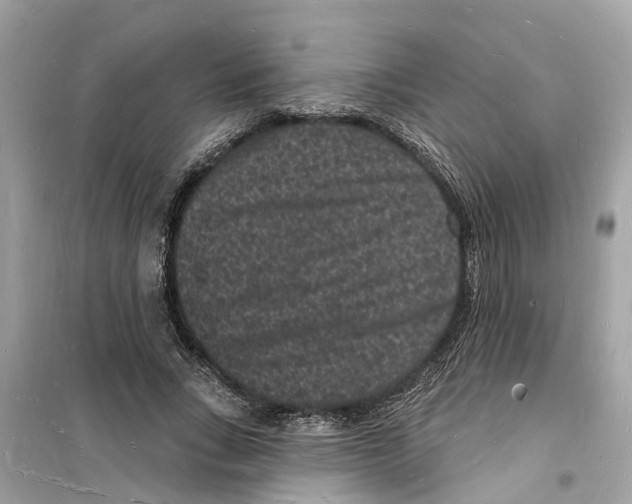 X0000098230735200805221710