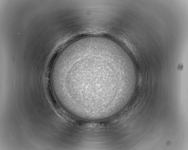 X0000098230736200805221710