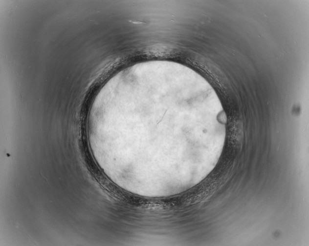 X0000098230738200805221710