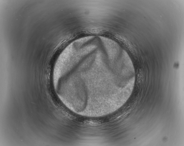 X0000098230739200805221710