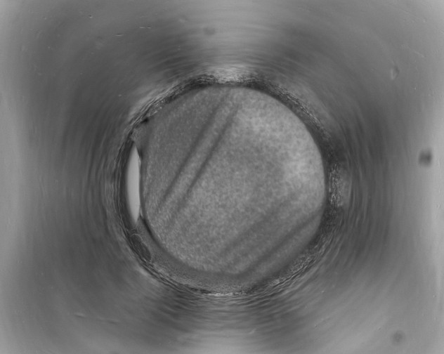 X0000098230740200805221710