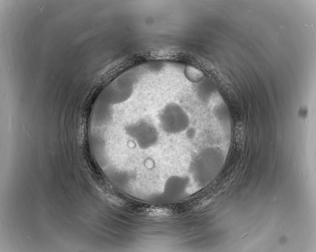 X0000098230741200805221710