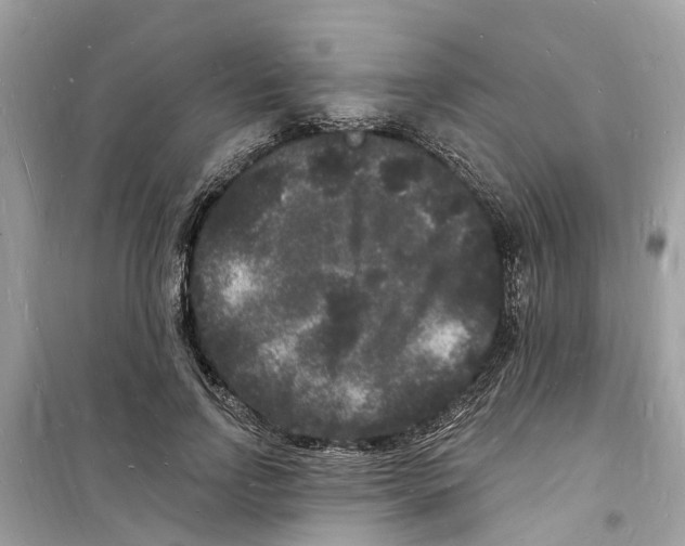 X0000098230742200805221710