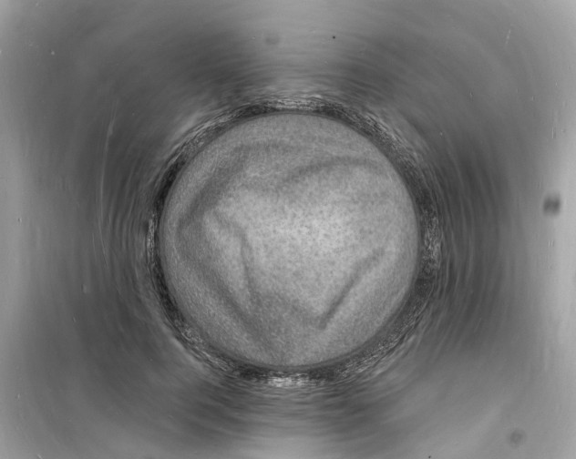 X0000098230744200805221710