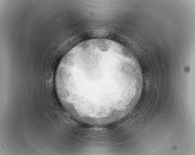 X0000098230745200805221710