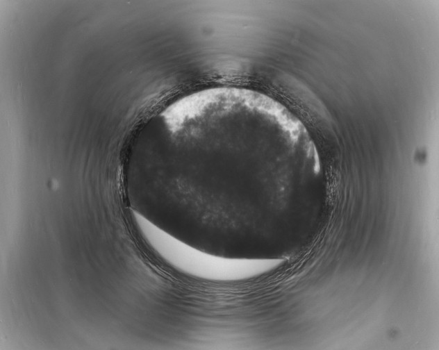 X0000098230748200805221710