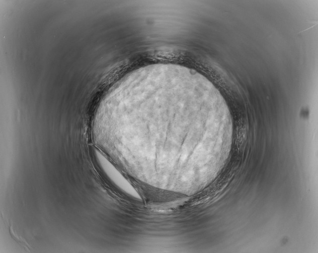 X0000098230749200805221710