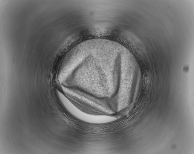 X0000098230750200805221710