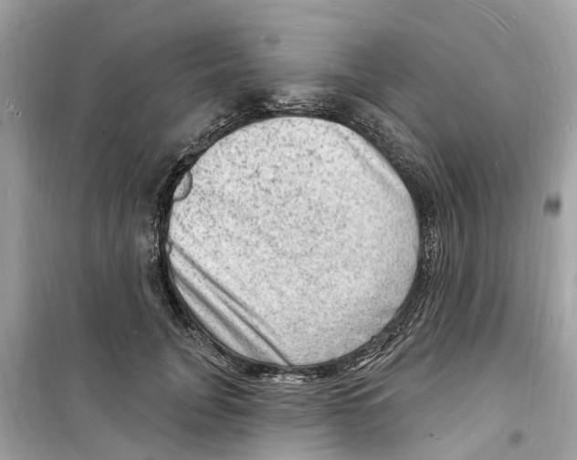 X0000098230751200805221710