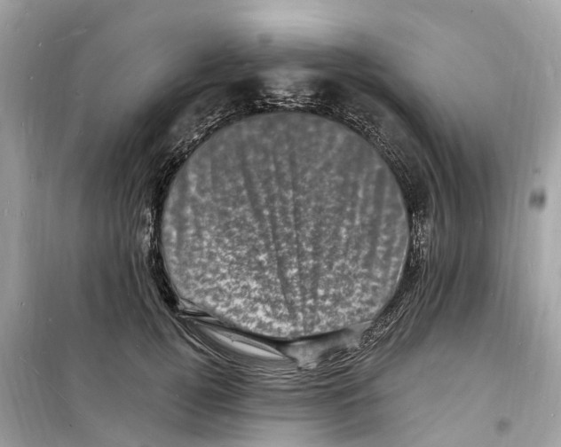 X0000098230752200805221710