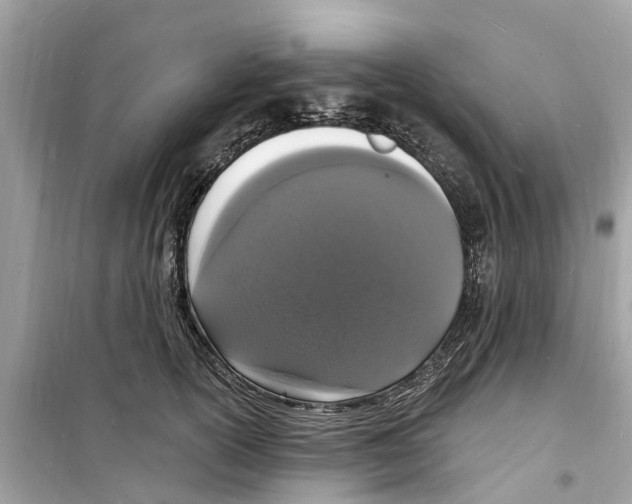 X0000098230754200805221710