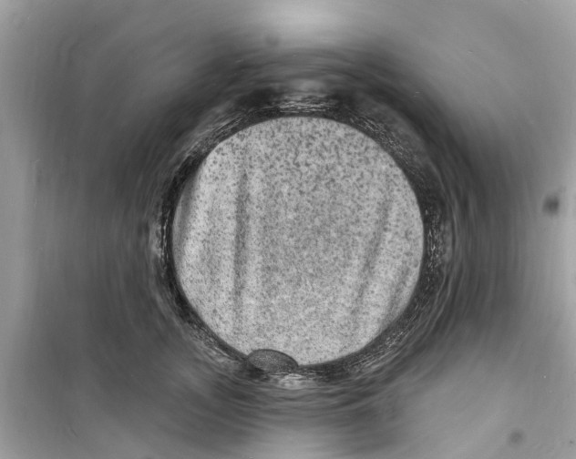 X0000098230755200805221710