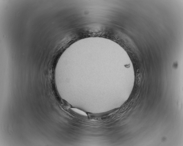 X0000098230756200805221710