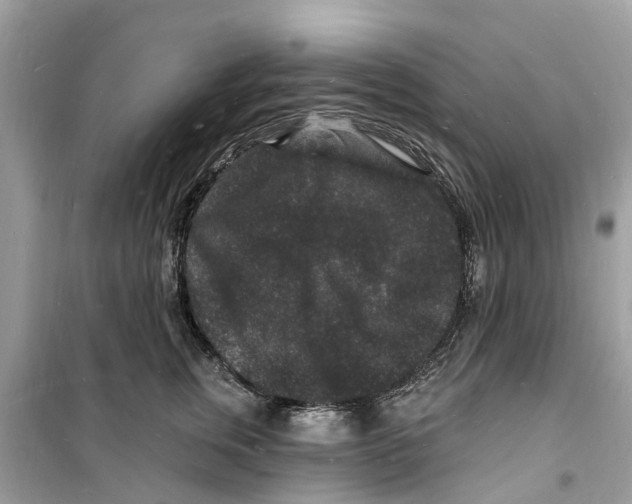 X0000098230759200805221710