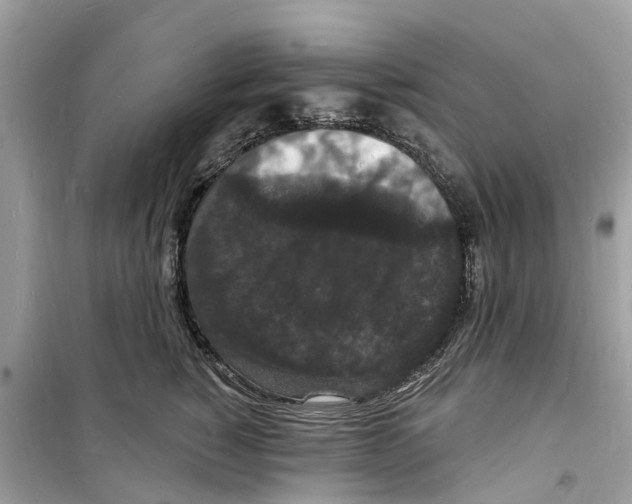 X0000098230760200805221710